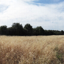 Panorama-sans-titre1