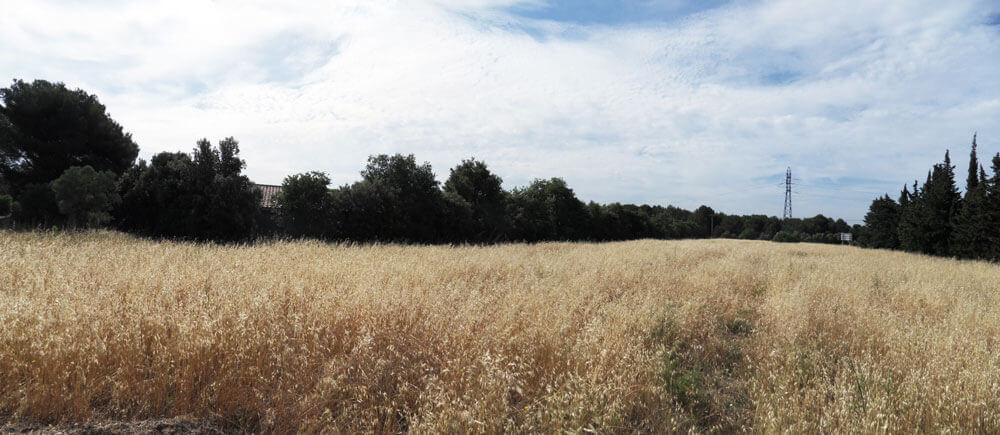 Panorama-sans-titre1